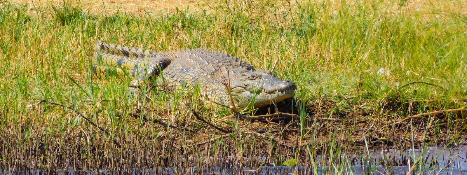 Akagera National Park Rwanda