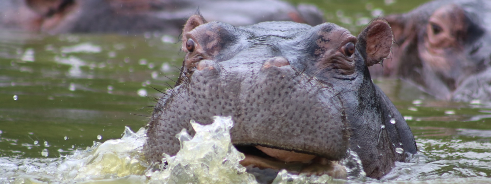 Lake Mburo National Park