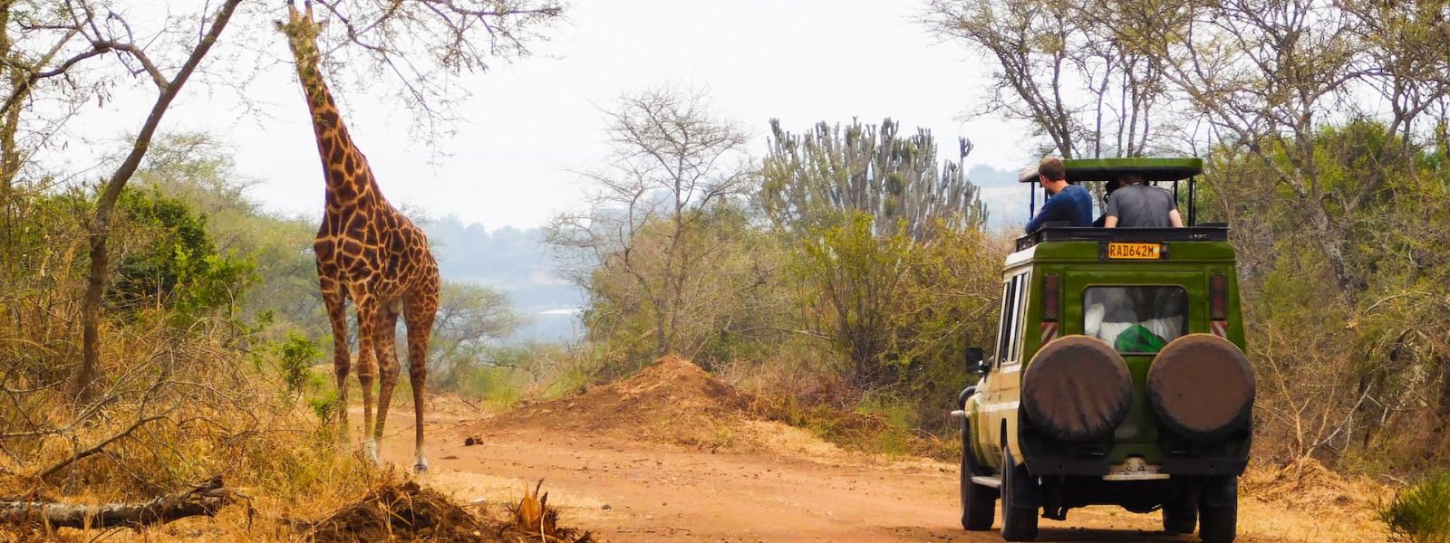 Is Uganda & Rwanda Safe for Safaris & Tours