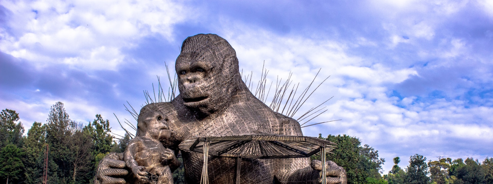 Volcanoes National Park Rwanda